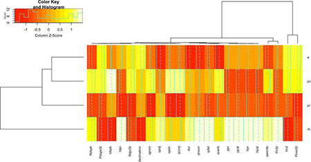 medium/medium-Loquens-8-01-e079-gf2.png
